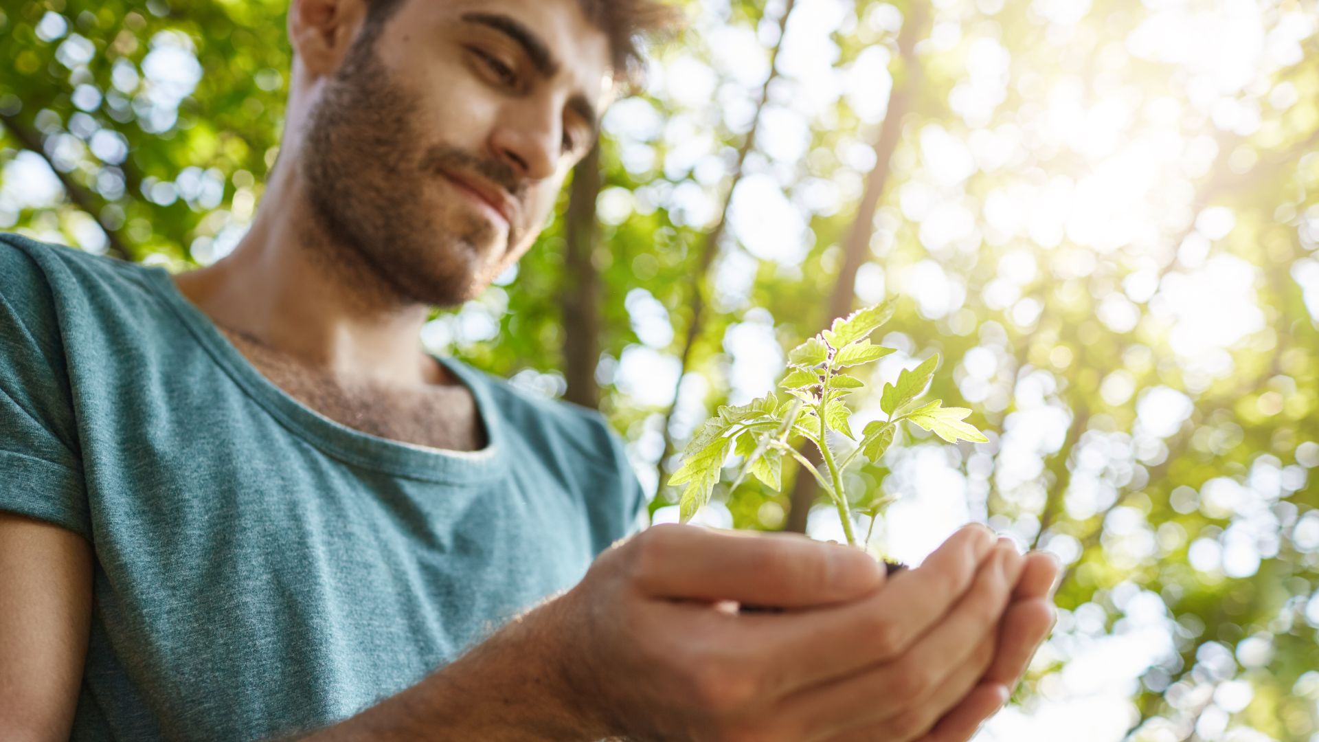Cuidar-planeta-sustentabilidade