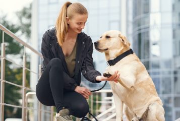 Conhece os cães de assistência para pessoas com diabetes?